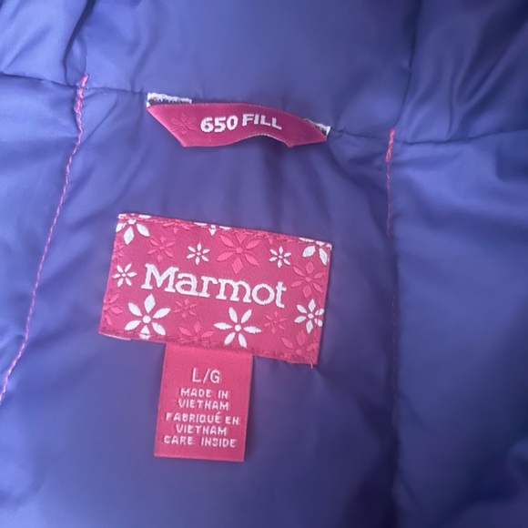 Pink 80% Goose Down Jacket with Hood (Size Large, 650 Fill) - Picture 6 of 8